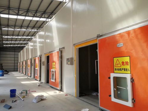 冷庫工程安裝中的網(wǎng)絡(luò)工程 智能化管理與高效運(yùn)營的關(guān)鍵