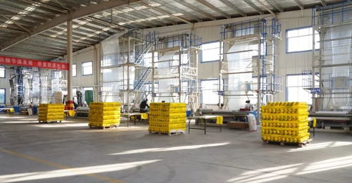 靜寧“歸雁工程”再結碩果，重點項目竣工投產助力縣域經濟高質量發展